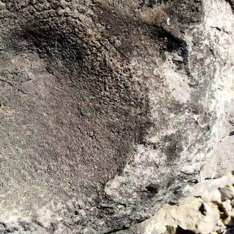 厦门海林生物招聘信息的相关长尾关键词有哪些