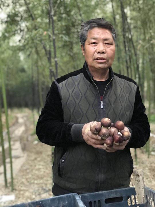 几个60多岁的老人，在老村长的带领下尚能二次创业，那年轻的你呢