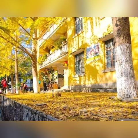 杭州市歌梦想天堂的相关长尾关键词有哪些