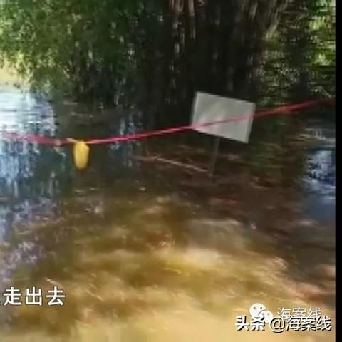 南宁锟哥的相关长尾关键词有哪些