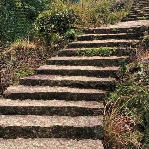 温州市风景山路在哪个区