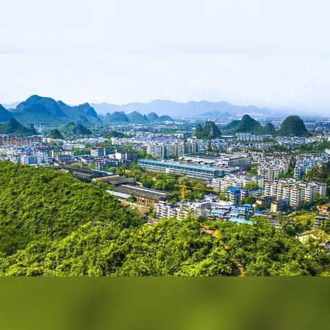 桂林市种什么中药材好些