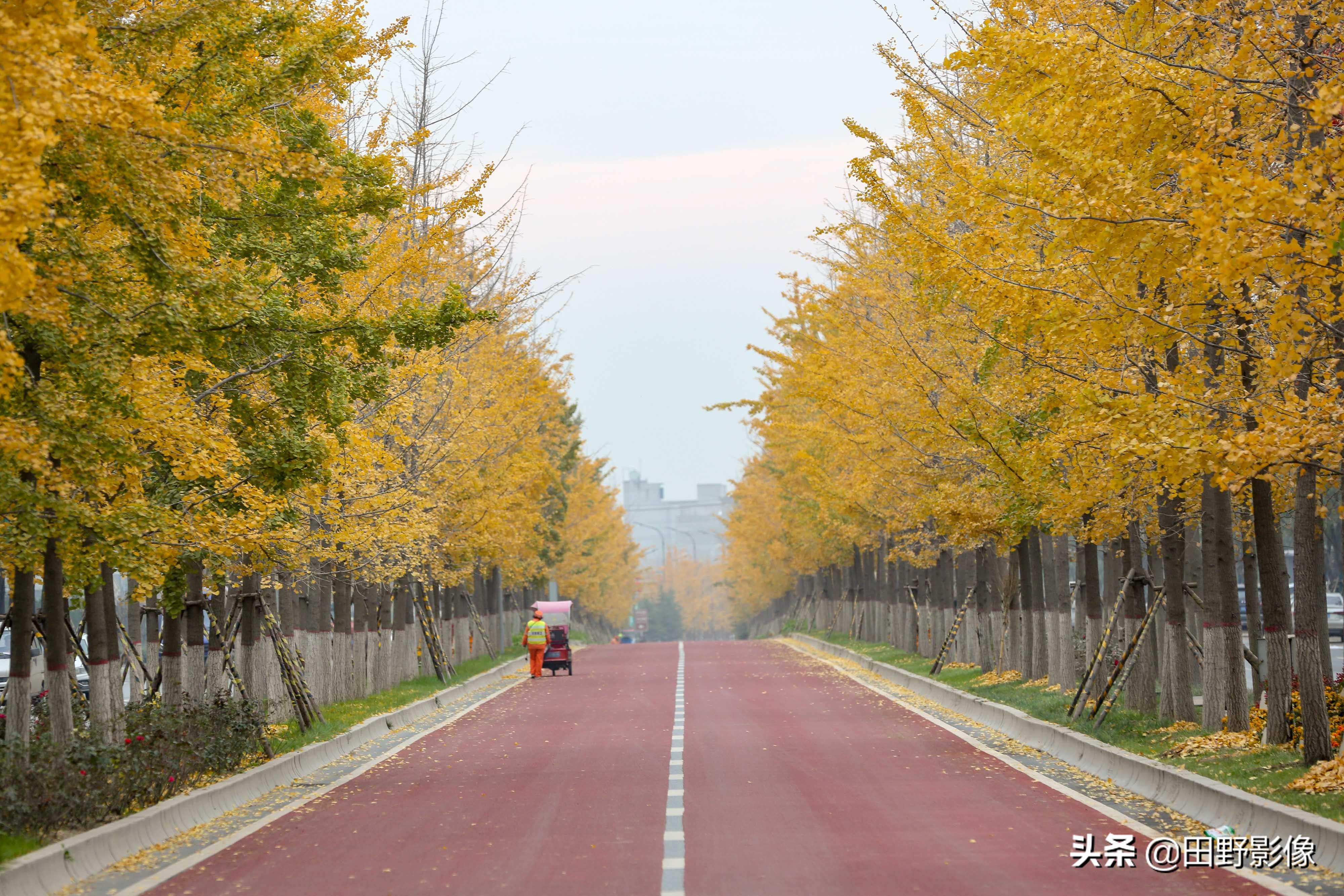 陕西邻省两日游最佳线路排行榜