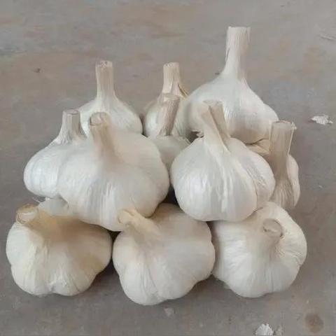 临沂市小吃热销排名的长尾关键词有哪些