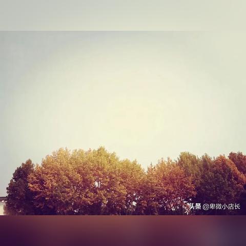 神所依凭将在德矣什么意思？