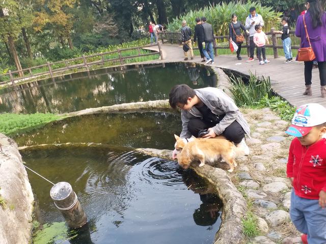 冬天的太阳出来了怎么发朋友圈