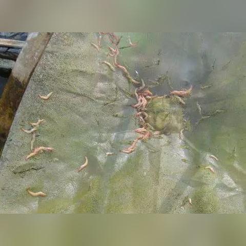 南美洲气温概况的长尾关键词有什么