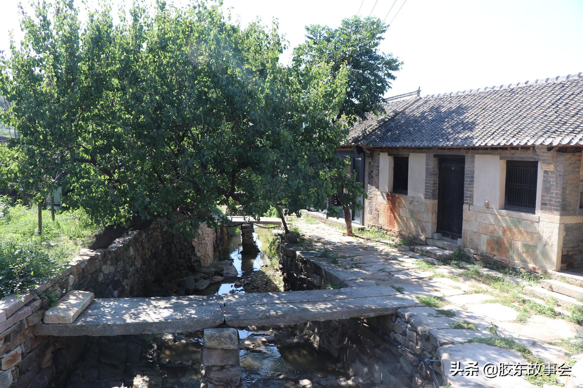 女宝宝起名宝典刘姓,刘姓泽字辈起名