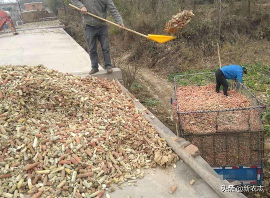 农村创业要选对项目，不起眼的小生意，有人靠"捡东西"年入近十万