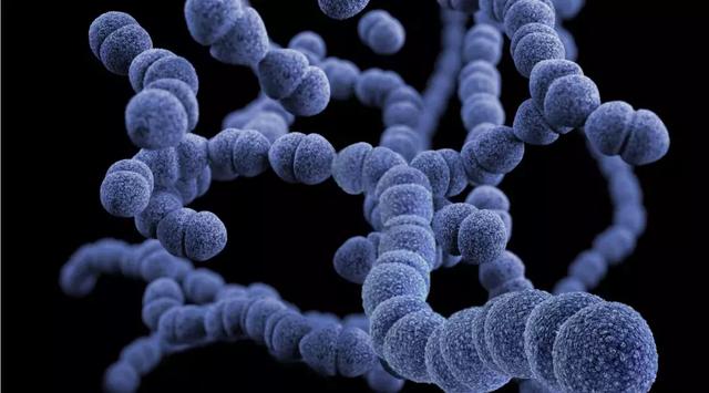 莫把宝宝这些病症误作感冒 莫把宝宝这些病症误作感冒