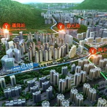 广州市大壮是什么