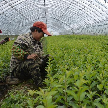 沈阳市生孩子立卡怎么办