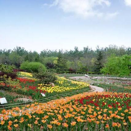 济南市科二报名费多少钱