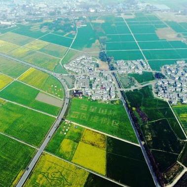 成都市崇州市地铁线的长尾关键词有什么