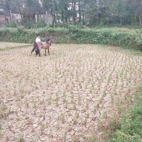 桂林市条件怎么样