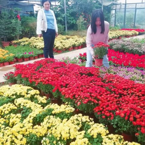 武汉市的花鸟市场有多少个？位置和地点？