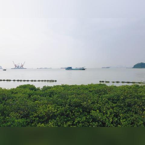 2025.12.14广州今日气温变化情况