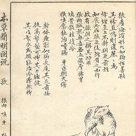 杭州小瘦的相关长尾关键词有哪些