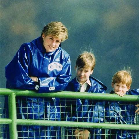 去国外看足球怎么买票