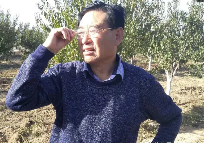 chatgpt都有哪些功能 快手都有哪些赚钱的功能