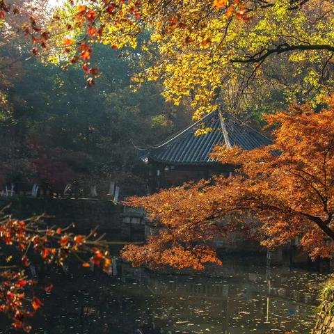 济南市虞山公园在哪里