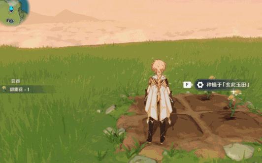 原神怎么开田亩秘境（原神壶中洞天田亩作用）