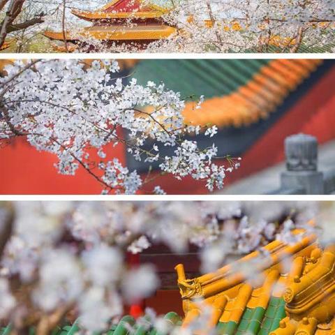 苏州市八大街在什么区