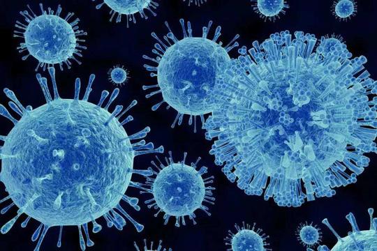 科学家称：新冠病毒已变异八次！病毒变异真的很可怕吗？