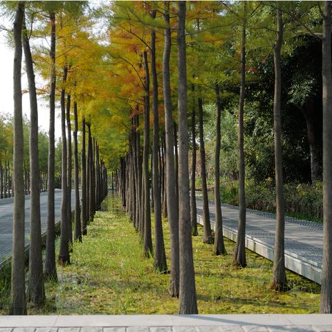 苏州市有什么山可以爬