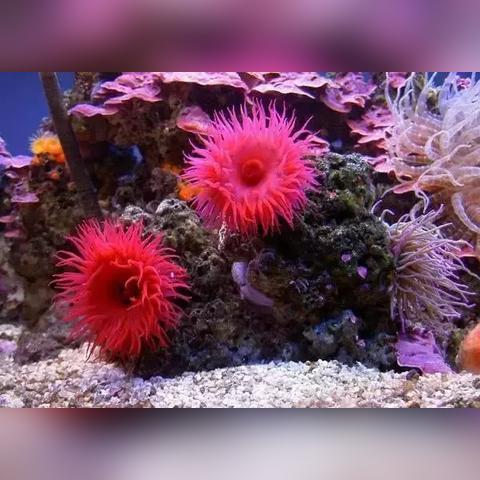 宁波海鲜四月的长尾关键词有什么