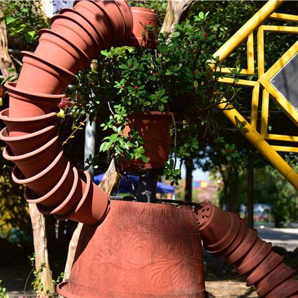 广州市种什么花多