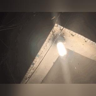 广州市现在什么温度