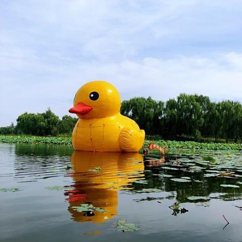 西安市东陵路来历是什么
