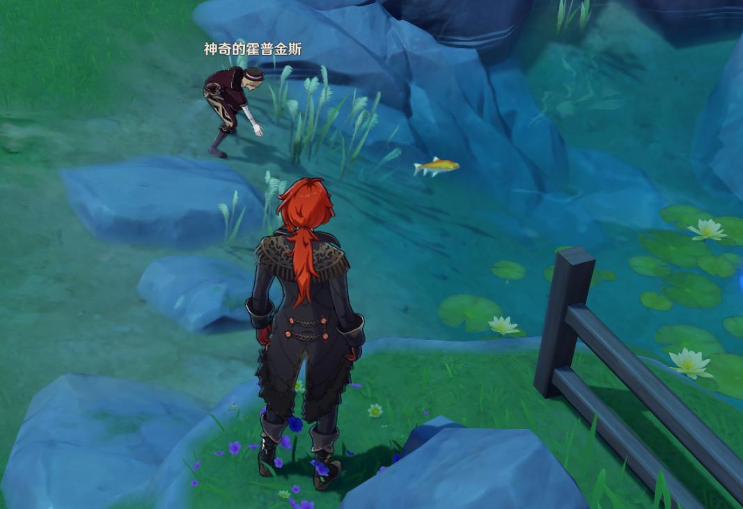 原神霍普金斯的水怎么买（圣水原神有什么用）