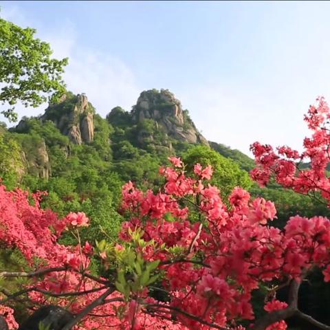 河南哪个城区最大
