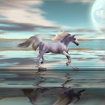 八字算命真的能预测命运吗？