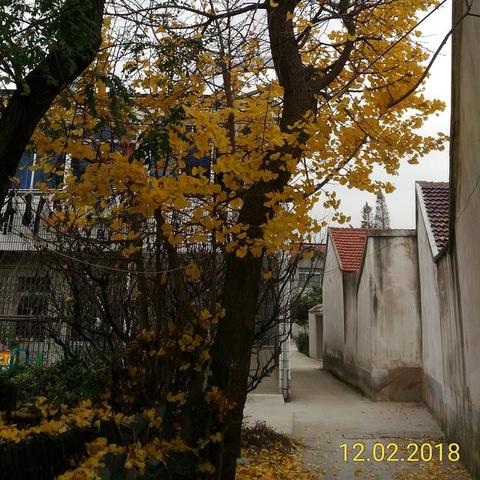 无锡市哪里有卖乌龟的