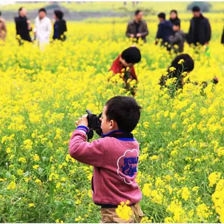 福建县域经济的相关长尾关键词有哪些