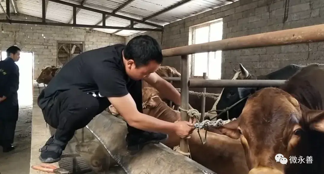 一场比赛赚10万什么意思 一年赚10万美金什么意思