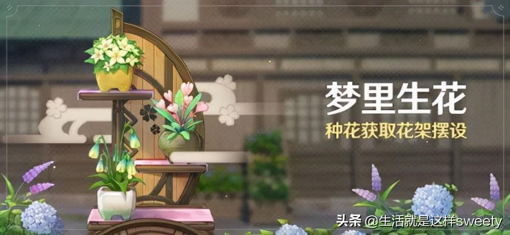 原神怎么弄种花的土地(原神花种匣怎么得)