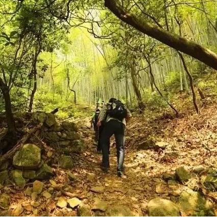 武义到宁波火车的长尾关键词有什么