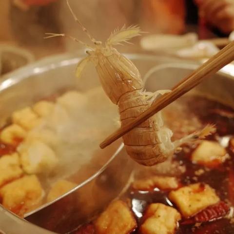 温州市滨海对虾批发的长尾关键词有哪些