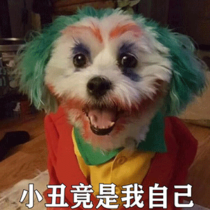 小丑竟在我身边表情包