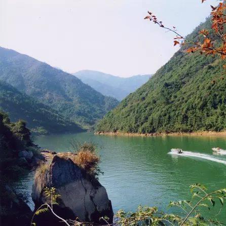 杭州市河桥镇是哪个区