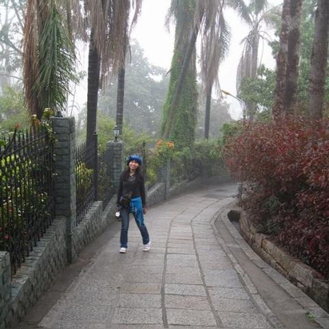 鼓浪屿在什么地方？