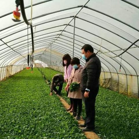 今天大田天气预报的长尾关键词有哪些