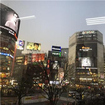 starday跨境电商平台定位的相关长尾关键词有哪些