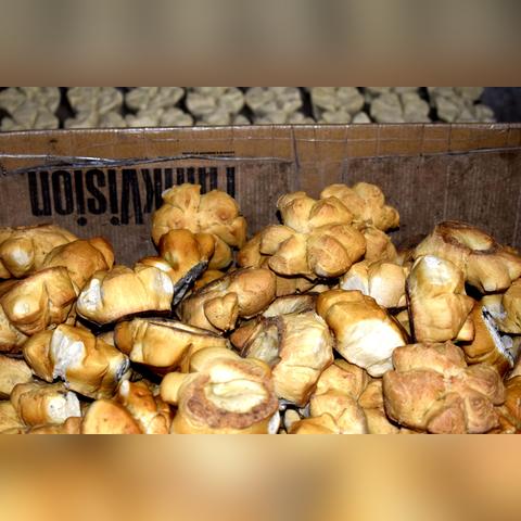 武汉市什么时候抓狗