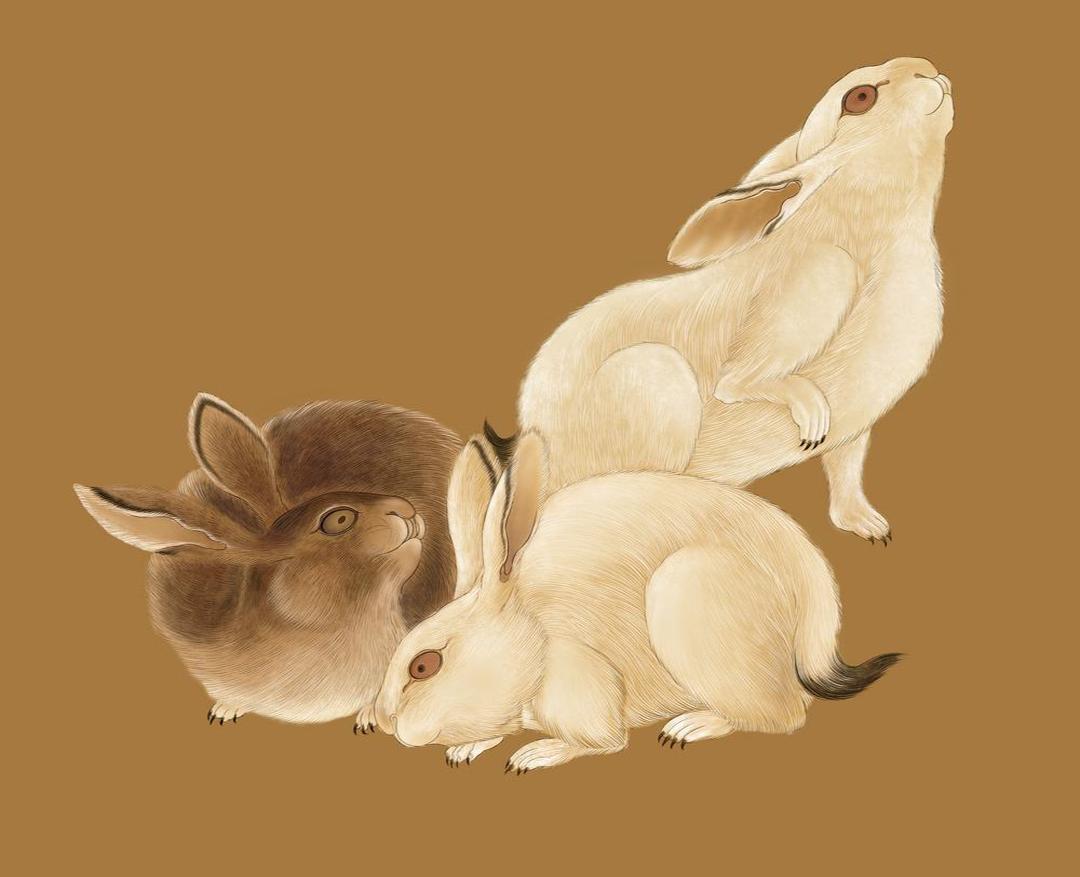 辰年宝宝起名,给孩子起名御辰的含义