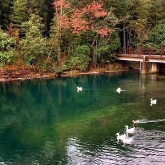 牯牛降山顶的夜间气温的长尾关键词有哪些